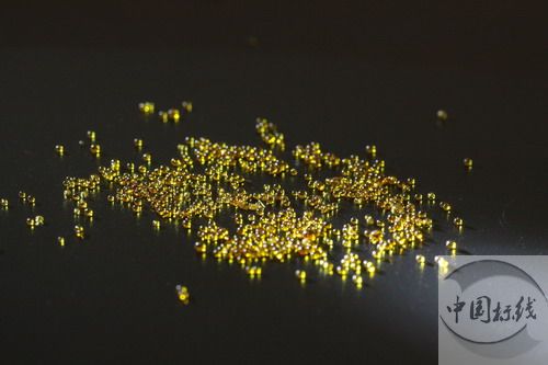 遂溪市政道路标线施工现场